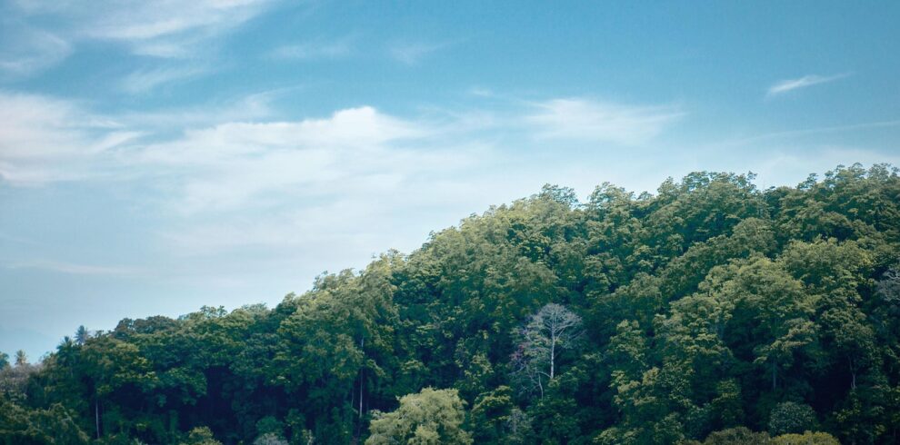 Kandy